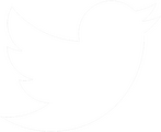 twitter twitter